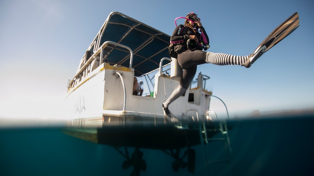 boat-diver boat-diver