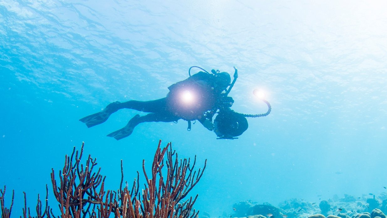 digital-underwater-photographer digital-underwater-photographer