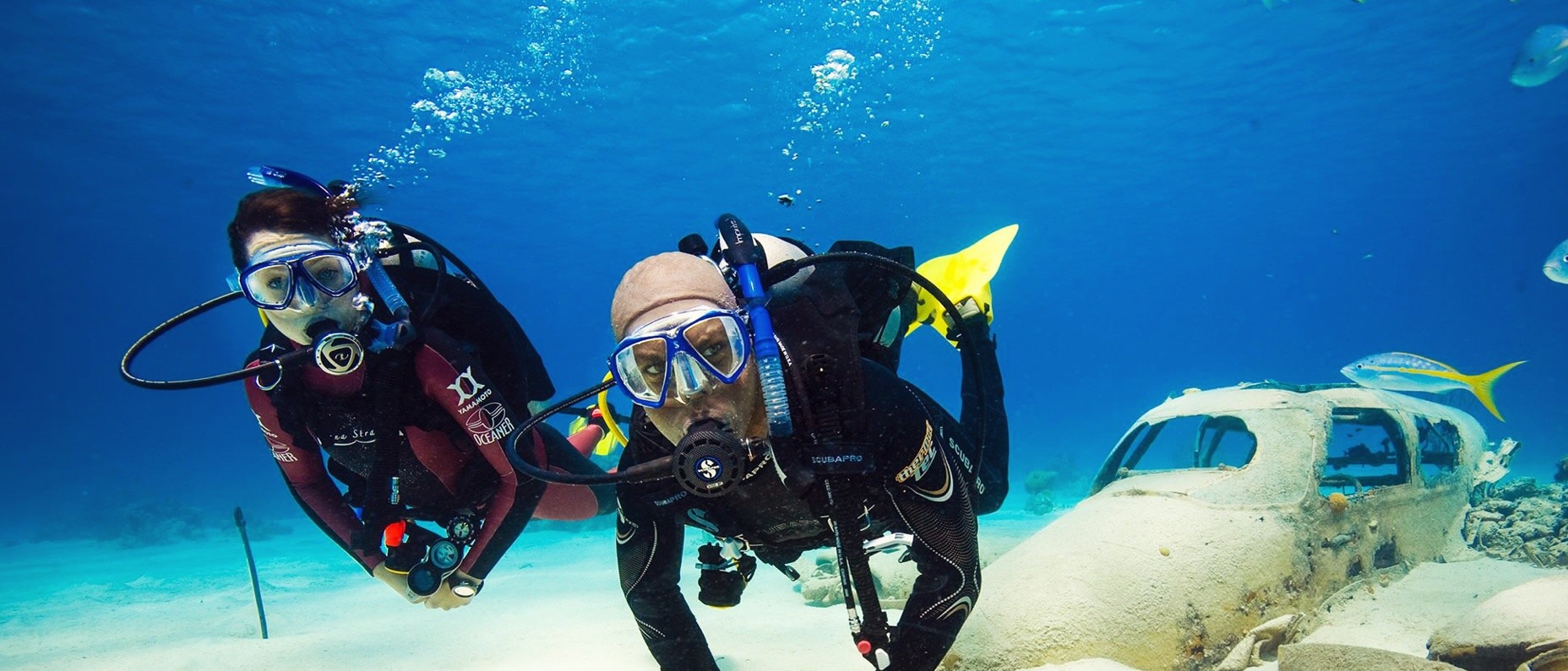 master-scuba-diver master-scuba-diver