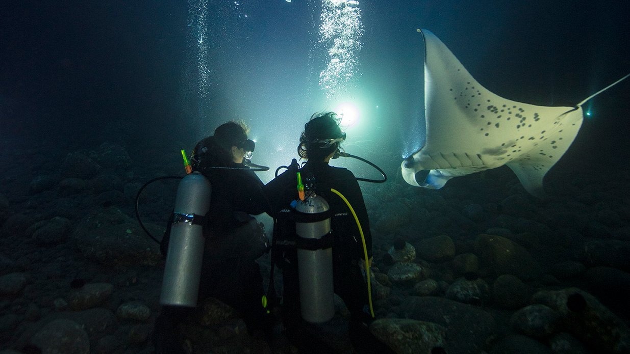 night-diver night-diver